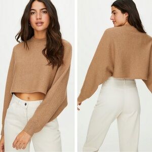 Aritzia Wilfred Free Merino Wool Lolan Sweater